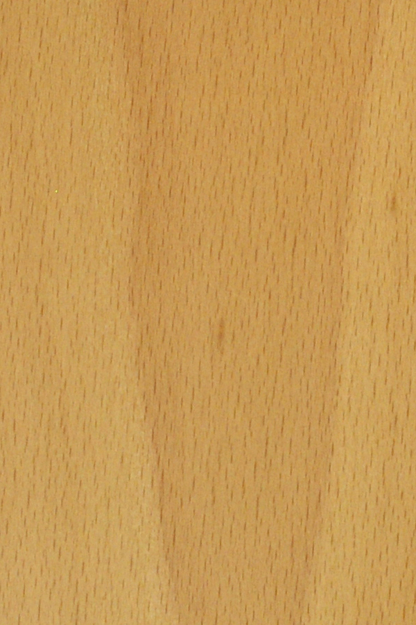 Oberflächemuster Echtholz furniert Buche | Bei tuer-und-zarge.de!
