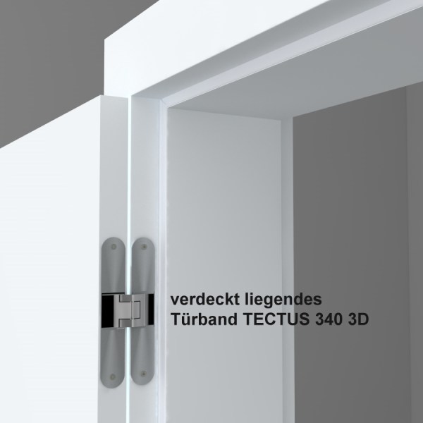 Tür + Zarge stumpfeinschlagend Typ OS (= ohne Schlüsselloch)
