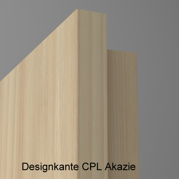 Lisenentür LISO L8 mit Designkante