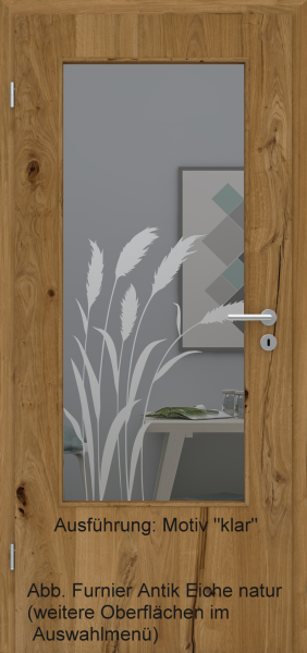 Tür Furnier ANTIK mit Glasmotiv Sand 92 auf grauem Glas