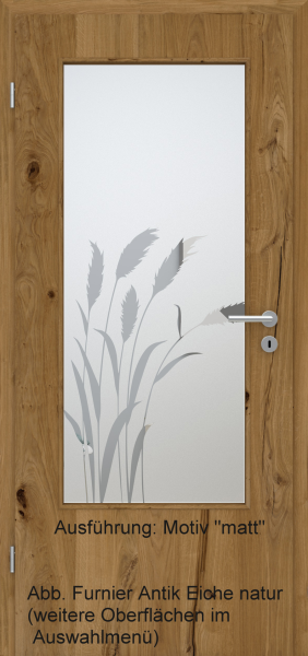 Tür Furnier ANTIK mit Glasmotiv Sand 92 auf weißem Glas
