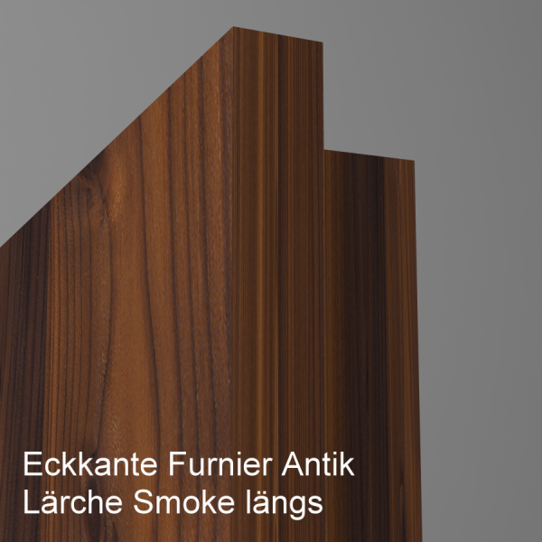 Tür Furnier ANTIK mit Glasmotiv Sand 48 auf weißem Glas