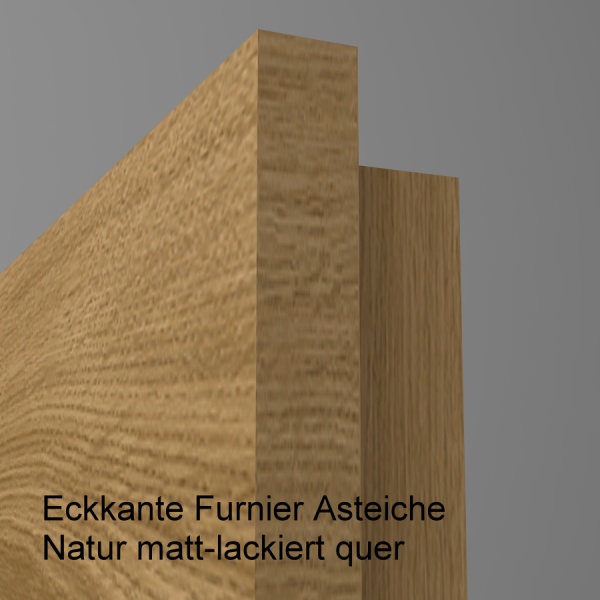 Tür Furnier ASTEICHE mit Glasmotiv Sand 9 auf grauem Glas