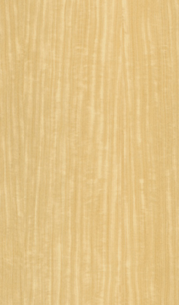 Oberflächenmuster Echtholz furniert Limba