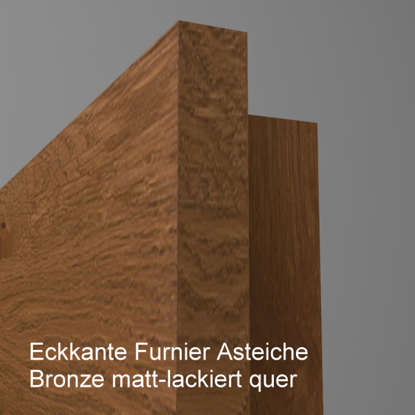 Tür Furnier ASTEICHE mit Glasmotiv Sand 9 auf grauem Glas