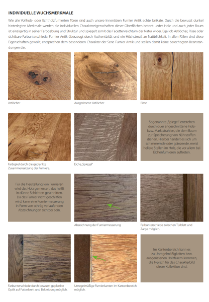 Tür Furnier ANTIK mit Glasmotiv Sand 48 auf weißem Glas