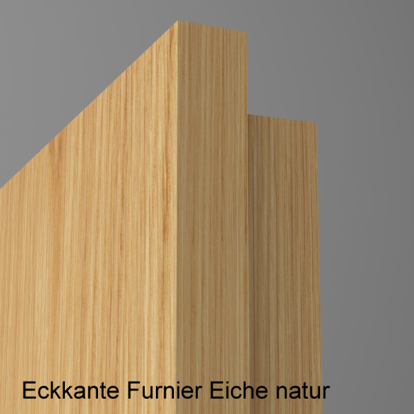 Wohnungseingangstür S37 Klimaklasse III mit Eckkante