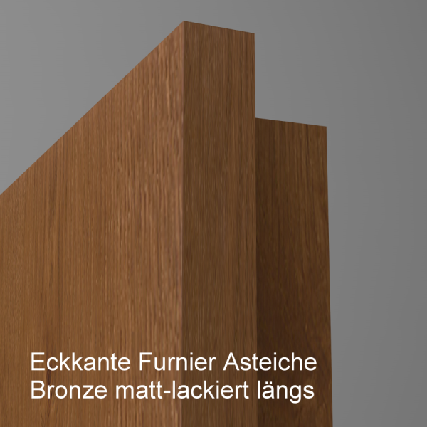 Tür Furnier ASTEICHE mit Glasmotiv Sand 9 auf grauem Glas