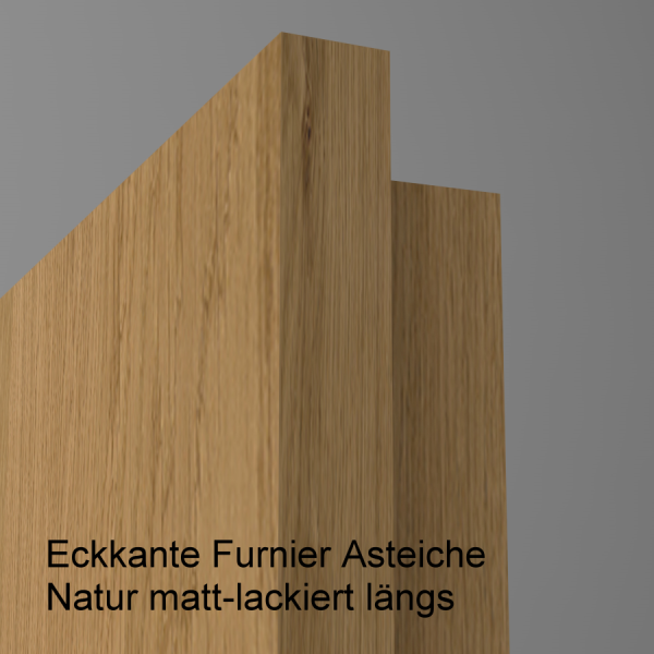 Tür Furnier ASTEICHE mit Glasmotiv Sand 9 auf grauem Glas