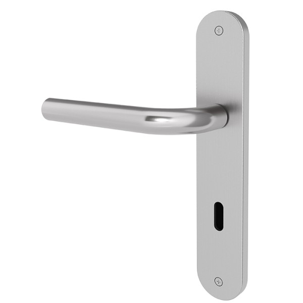 Türgriff JUIST mit gerundetem Langschild