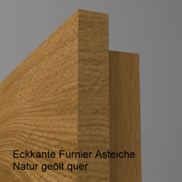 Tür Furnier ASTEICHE mit Glasmotiv Sand 9 auf grauem Glas