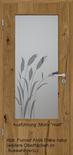 Tür Furnier ANTIK mit Glasmotiv Sand 92 auf grauem Glas