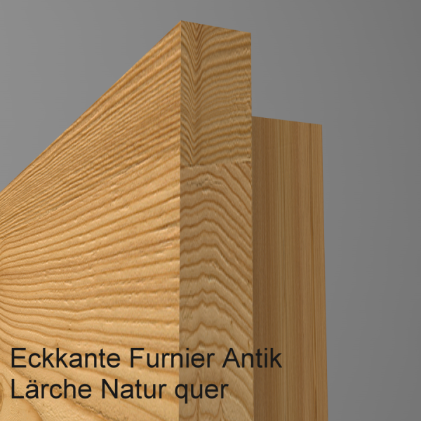 Tür Furnier ANTIK mit Glasmotiv Sand 48 auf weißem Glas