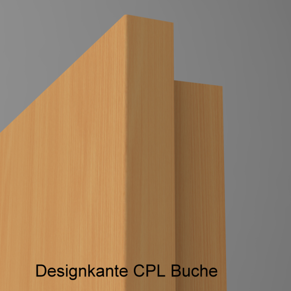 Lisenentür LISO L8 mit Designkante