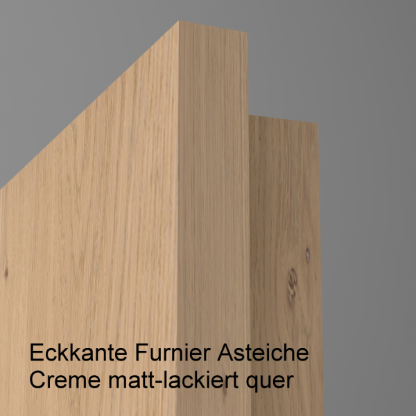 Tür Furnier ASTEICHE mit Glasmotiv Sand 9 auf grauem Glas