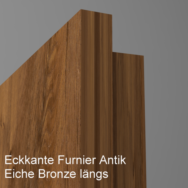 Tür Furnier ANTIK mit Glasmotiv Sand 48 auf weißem Glas