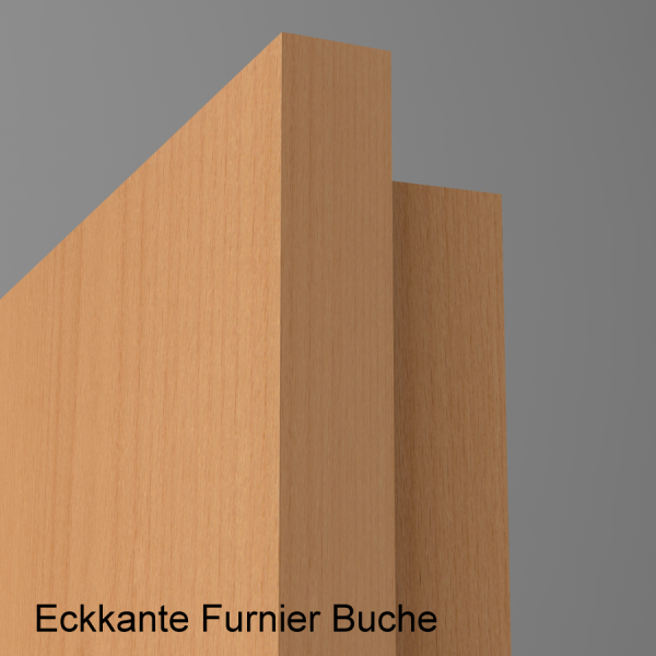 Wohnungseingangstür S37 Klimaklasse III mit Eckkante