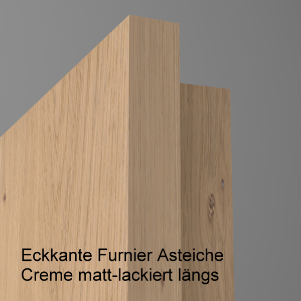 Tür Furnier ASTEICHE mit Glasmotiv Sand 9 auf grauem Glas