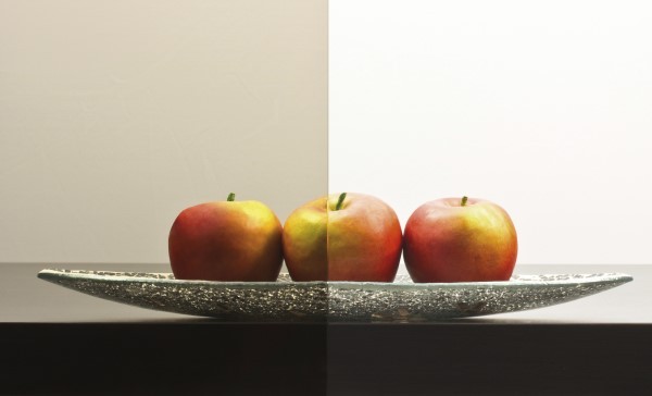 Ganzglastür PARSOL bronze