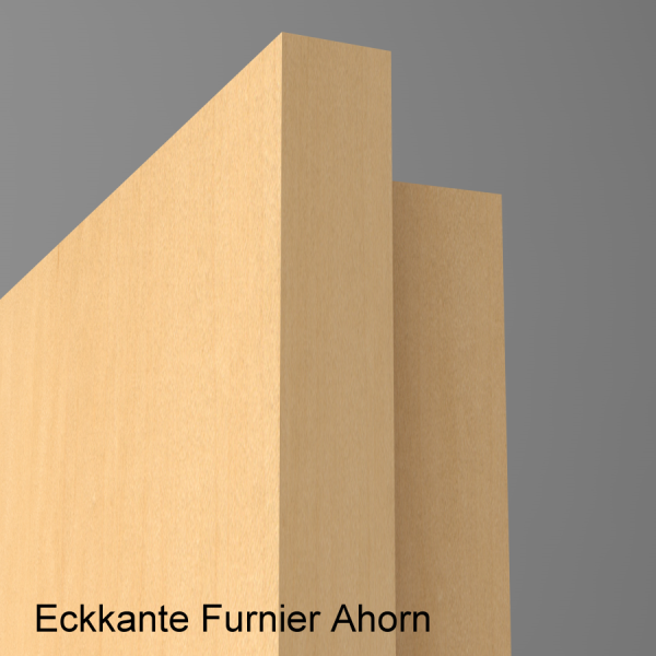 Wohnungseingangstür S37 Klimaklasse III mit Eckkante