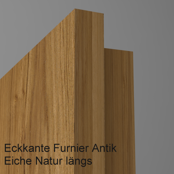 Tür Furnier ANTIK mit Glasmotiv Sand 48 auf weißem Glas