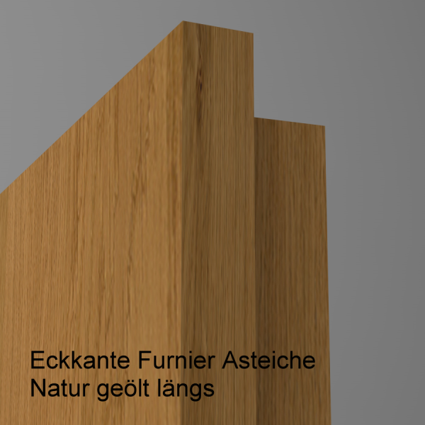 Tür Furnier ASTEICHE mit Glasmotiv Sand 9 auf grauem Glas