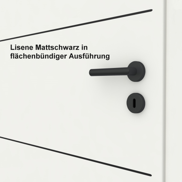 Lisenentür LISO L9 mit Designkante