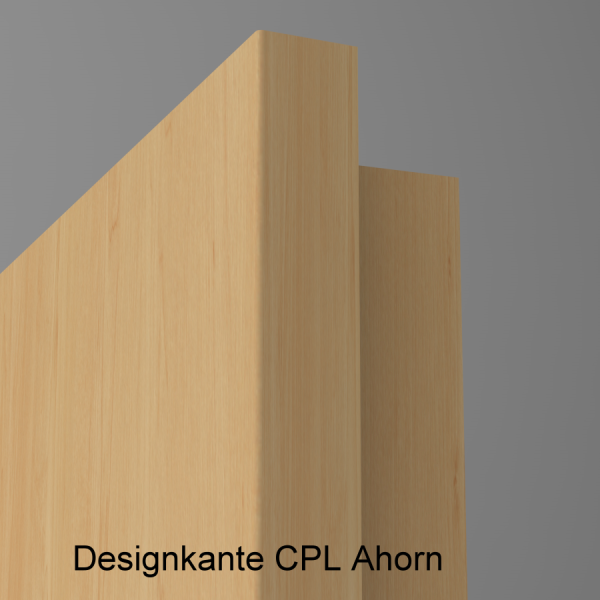 Lisenentür LISO L8 mit Designkante